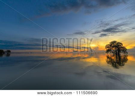Beautiful sunrise above the sea