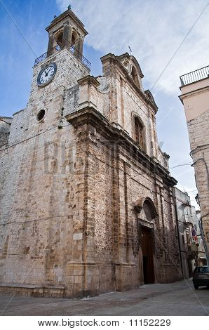 Maria SS. di Costantinopoli Church. Bitritto. Apulia.