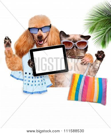 dog with cat taking a selfie together with a tablet