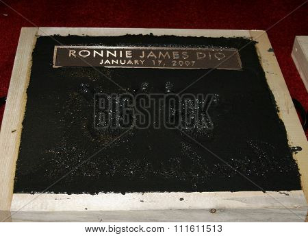 HOLLYWOOD, CALIFORNIA. January 17, 2007. Slash, Ronnie James Dio and Terry Bozzio Inducted into Hollywood's RockWalk held at the Guitar Center Hollywood's RockWalk in Hollywood, USA. 