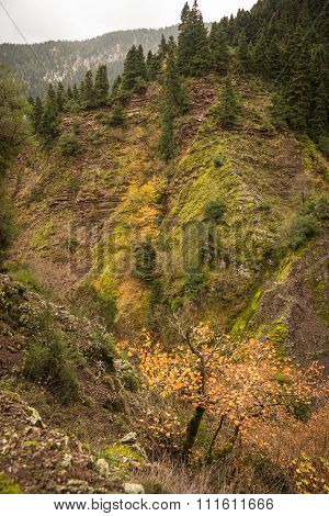 Scenic Mountain Autumn Landscape