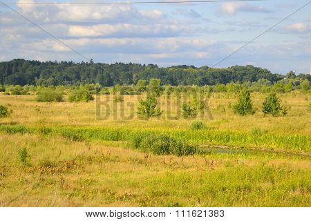 Summer Landscape On A Sunny Day.