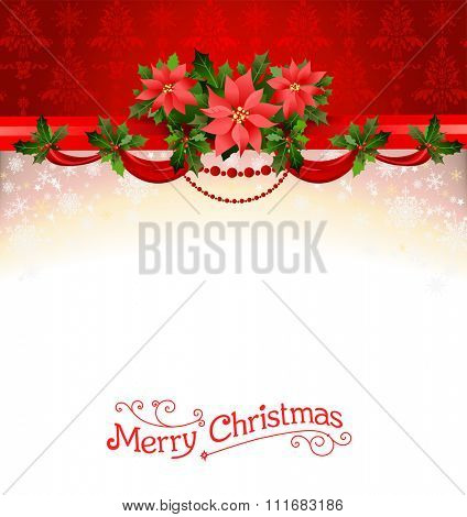 Holiday background with poinsettia. Christmas decoration for design card, banner,ticket, leaflet and so on.