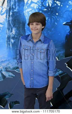 LOS ANGELES - MAY 28:  Corey Fogelmanis at the 