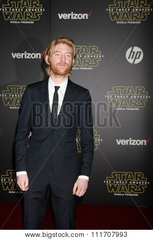 LOS ANGELES - DEC 14:  Domhnall Gleeson at the Star Wars: The Force Awakens World Premiere at the Hollywood & Highland on December 14, 2015 in Los Angeles, CA