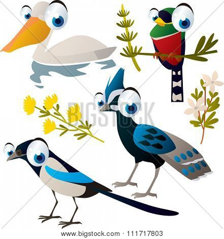 vector cute cartoon set of comic animals:magpie, pelican, pheasant, bird. useful for kids mobile apps, flash card games, invitations, wall decor and other