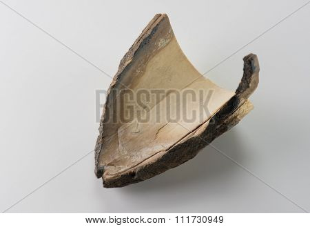 Mammoth tusk. Specimen of a fragment of a fossilized mammoth tusk on natural white background.