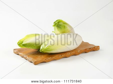heads of fresh belgian endive on wooden cutting board