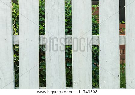 White Fence In Garden Background