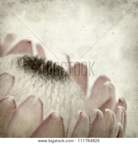 Textured Old Paper Background