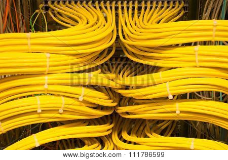 Network Hub and Switch