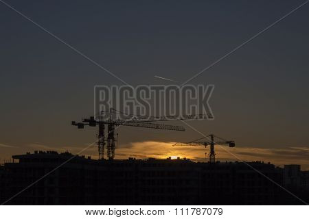 Cranes