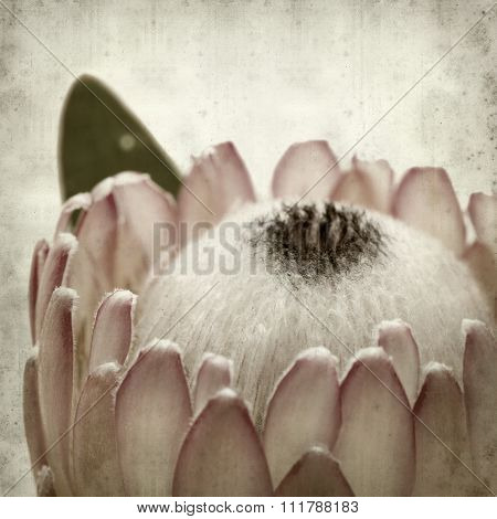 Textured Old Paper Background