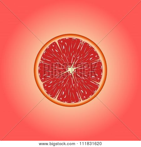Vector Grapefruit eps 10