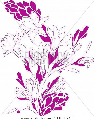 Flowers Contour Drawing