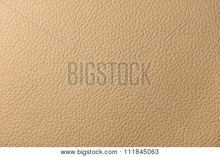 Beige Leather Texture