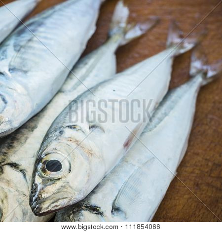 Raw fish (scad) over natural wood background.Close up
