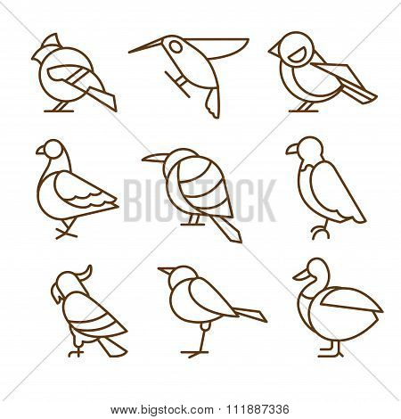 Bird Icons, Thin Line Style, Flat Design
