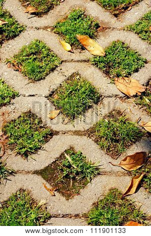 Turf stone used to pave a residential driveway