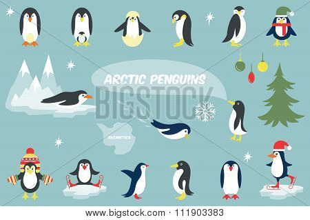 Various Penguins Cartoon Vector Illustration