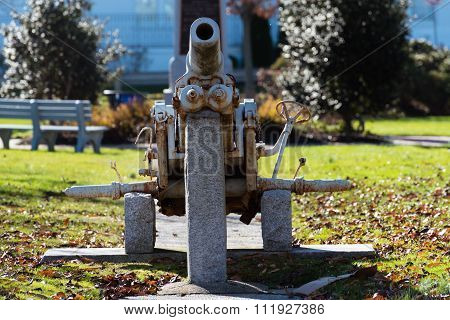 Cannon