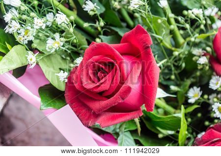 Red Rose