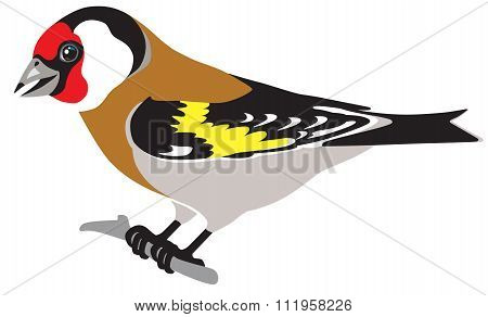 goldfinch