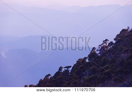 Slope of mountain Tajamulco covered trees in front ol mountains with fog mist and clouds