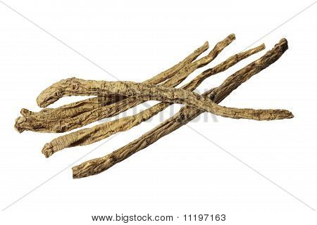 ฐาน Codonopsis Pilosulae