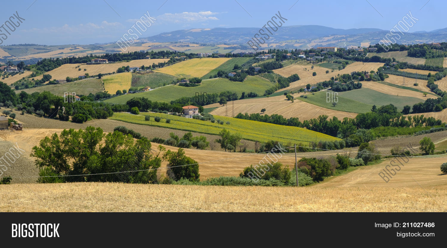 Image Preview