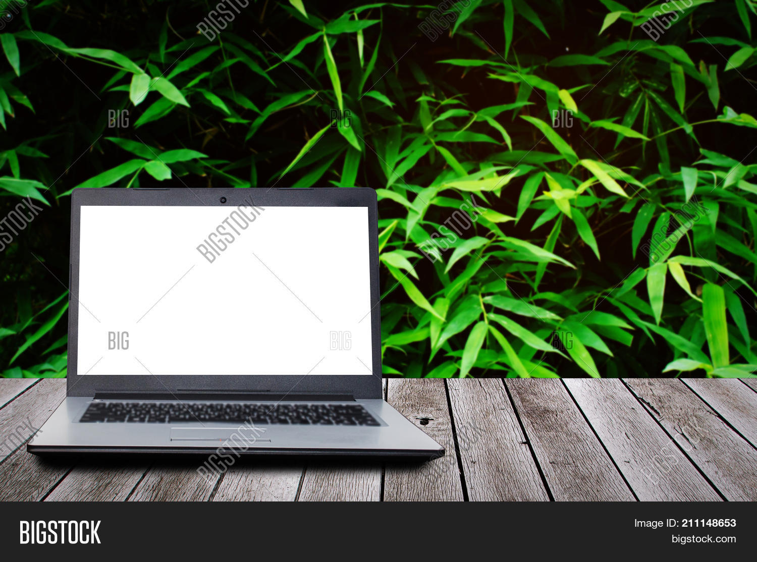 Image Preview