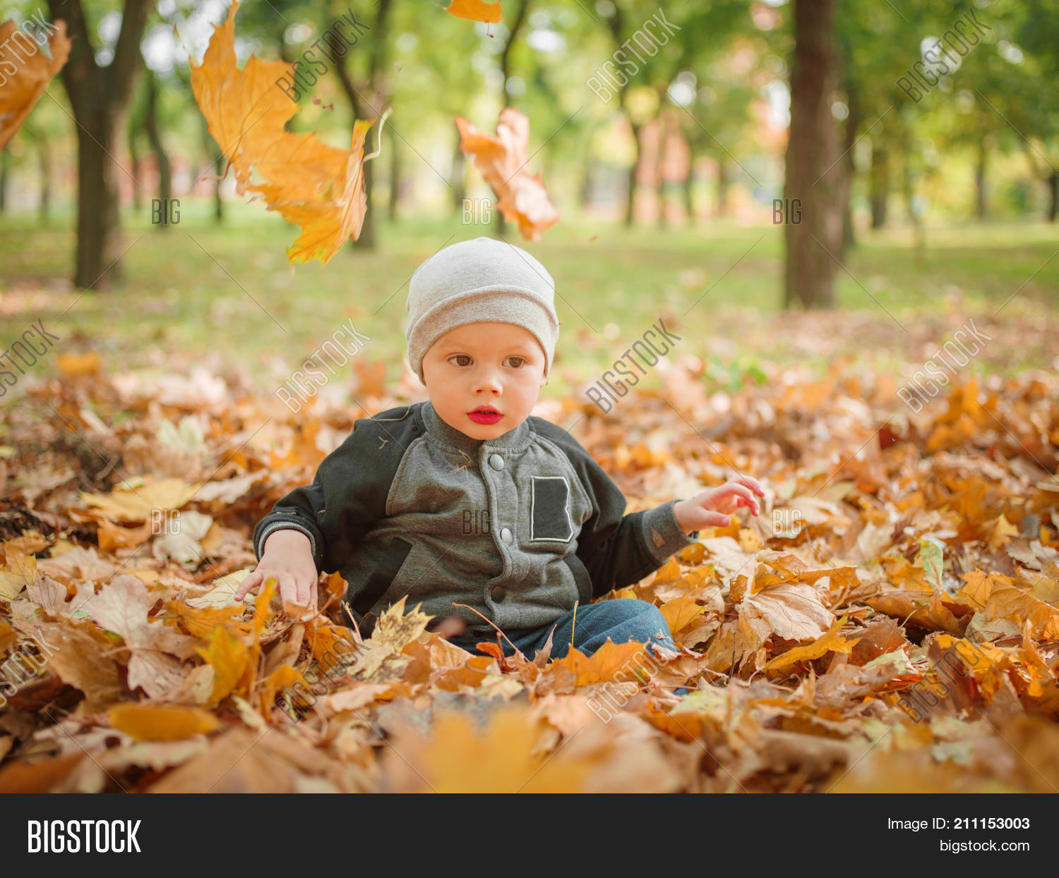 Image Preview