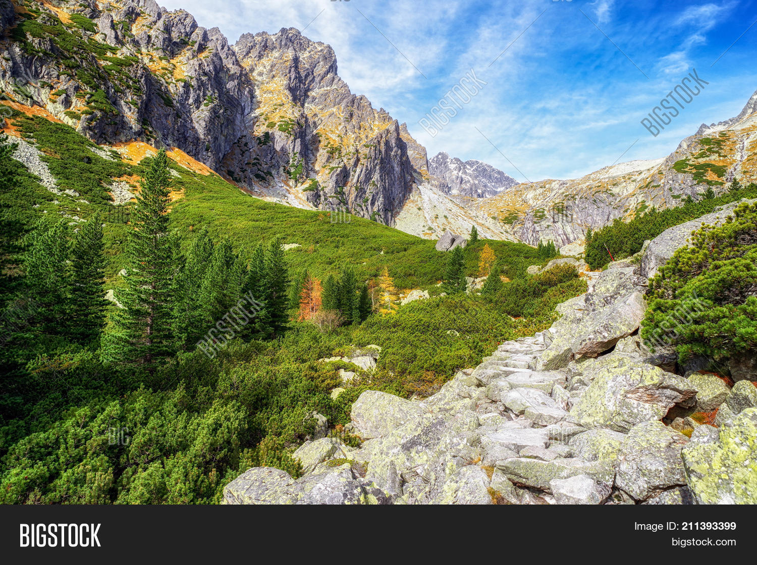 Image Preview