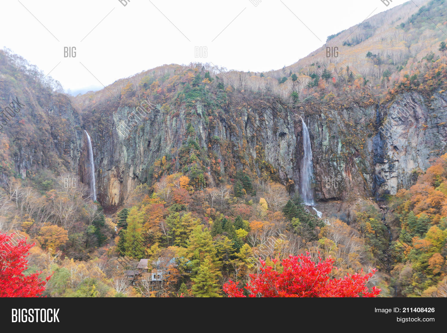 Image Preview