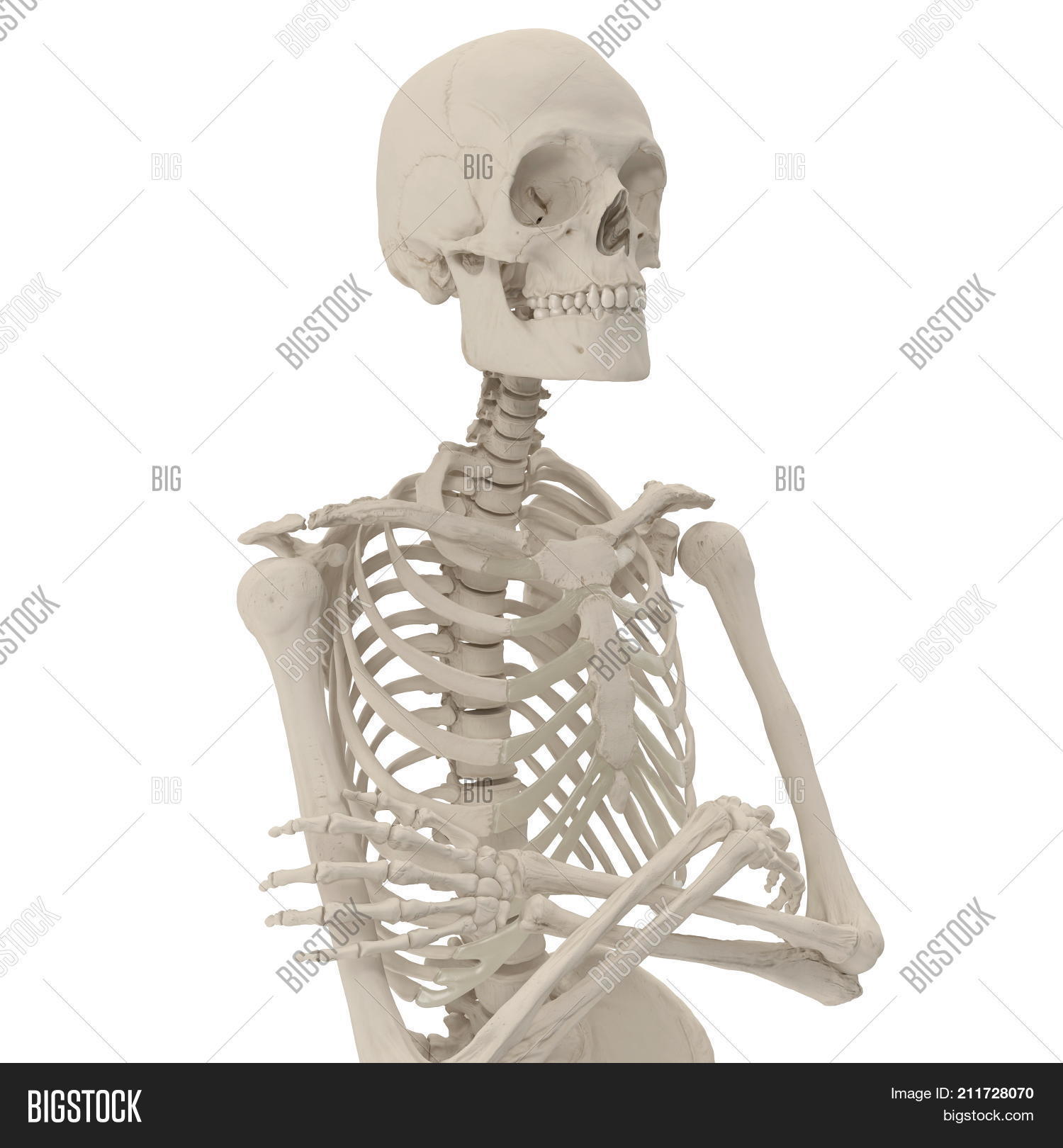 Wallpaper Medical Accurate Male Image Photo Free Trial Bigstock Free HD