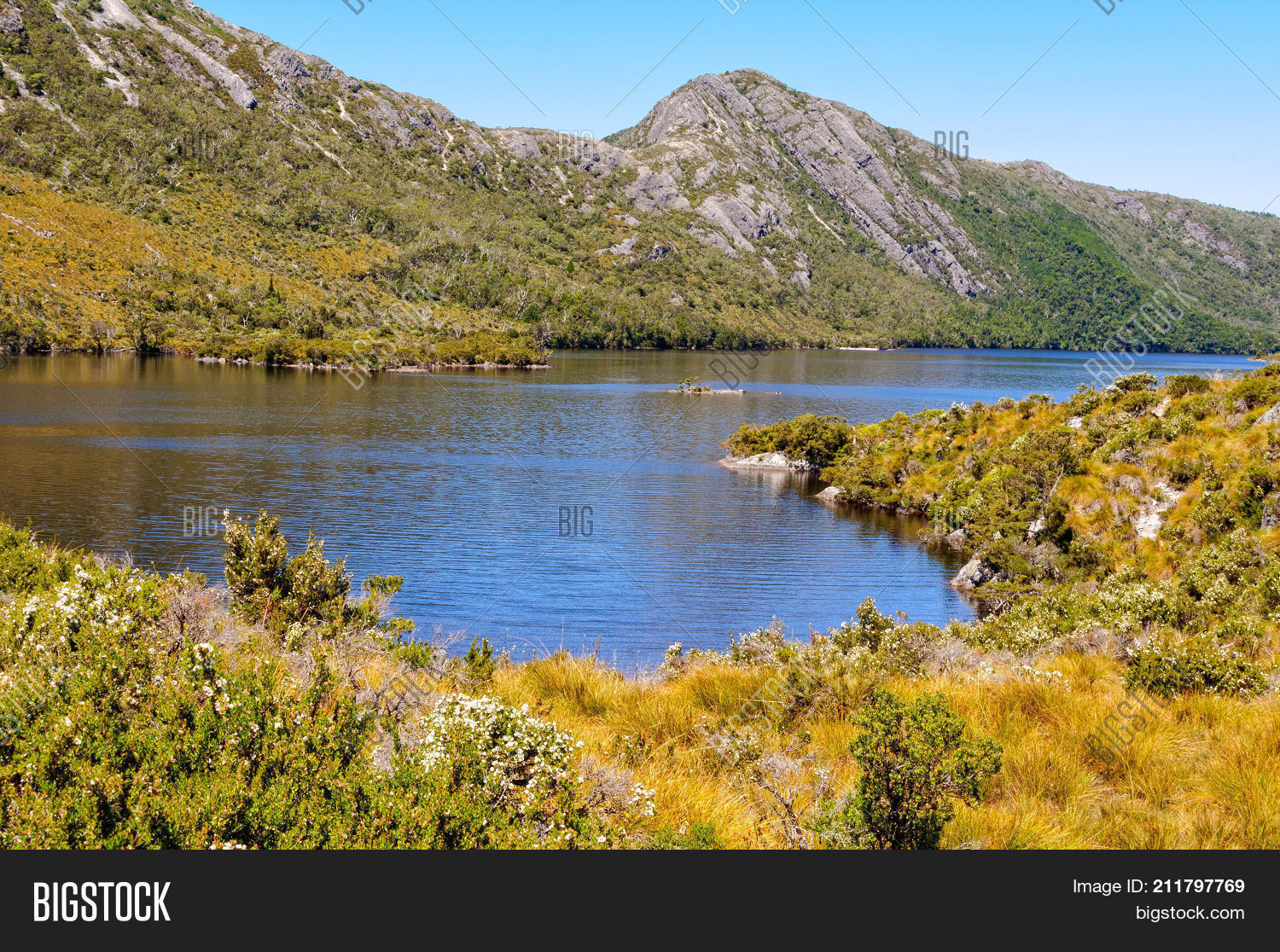 Image Preview