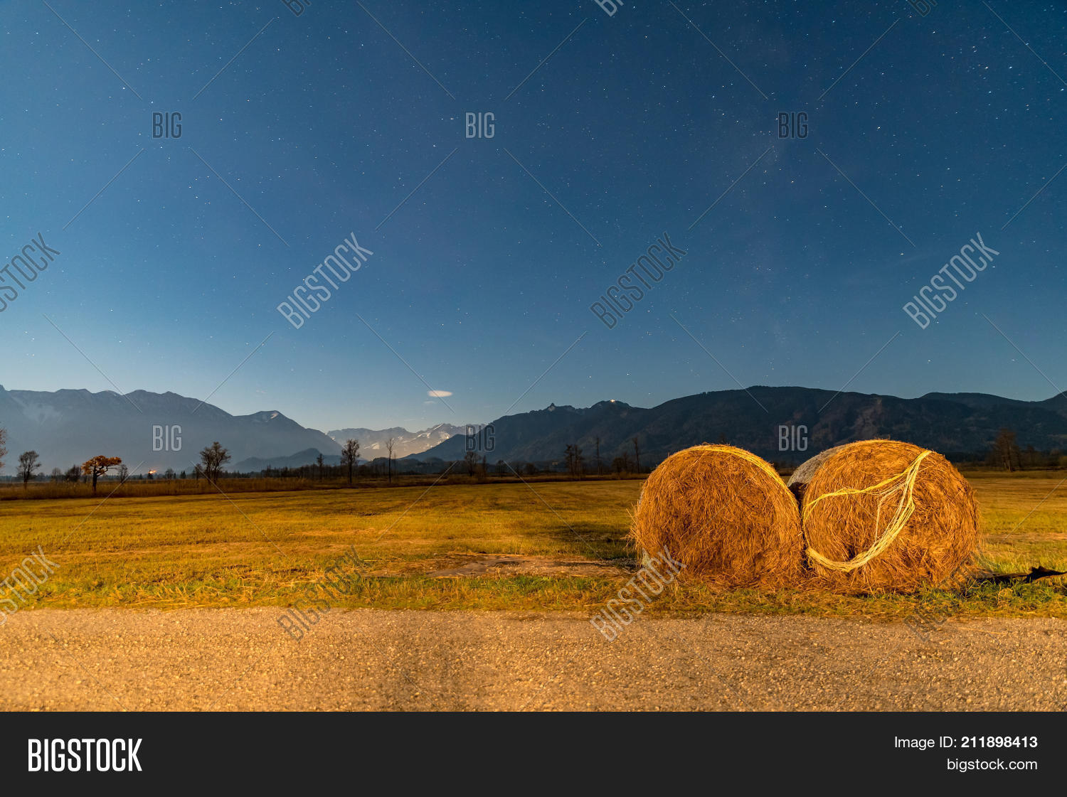 Image Preview