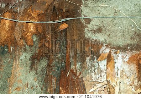 Remains after devastating flood rotten wooden floor and concrete with broken wires inside house