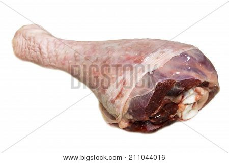Fresh turkey drumstick on a white background
