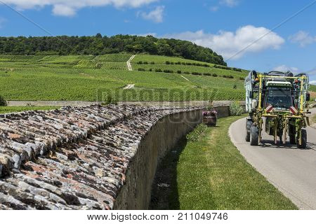 Oger France - June 12 2017: Road with wine tractor and Vineyards at Oger wit great wall around vineyard near Epernay in the Champagne districht France.