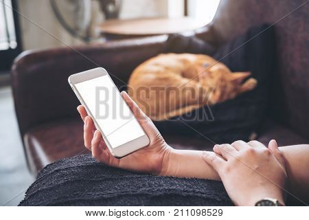 Mockup image of a woman's hand holding white mobile phone with blank screen and a sleeping brown cat in background