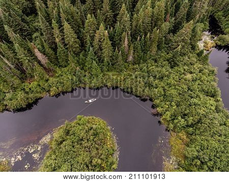 Wild Forest Canada aearial view of kayak kayaking or canoe canoeing boat on a river into a lake birds eye view veins mother nature pine tree.