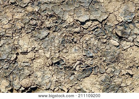 texture of the crackled clay in the desert