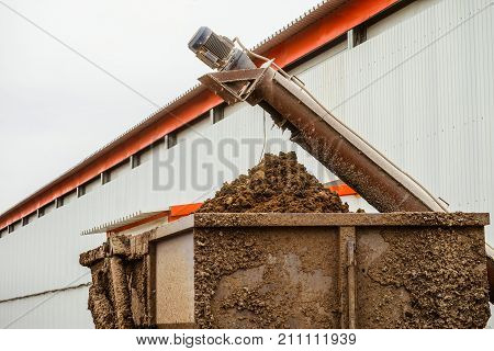 Removal of poultry manure from a poultry house. Agro industry aviculture complex.