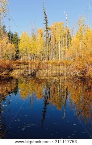 Fall colors around Moose Lake in Northern Idaho