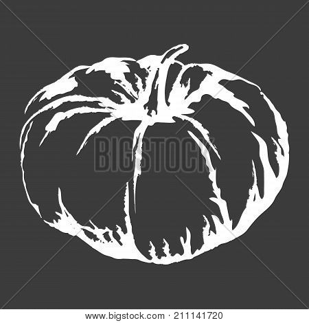 Big ripe sweet pumpkin isolated white outline sketch on black background. Delicious healthy edible Halloween symbol vector illustration.