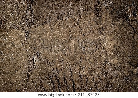 Brown soil texture or background. Brown ground surface