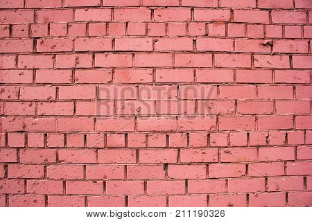 Pink jld wall brick of house as background