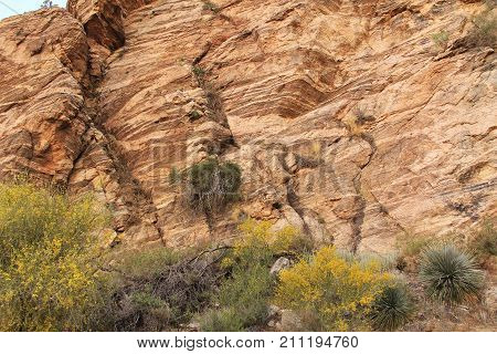 Close-up of a Rock wall texture on Mount Lemmon in Tucson, Arizona, USA in the Santa Catalina Mountains located in the Coronado National Forest.