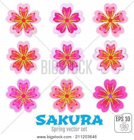 Sakura Flowers Icon Set , Cherry Blossom Vector Illustration